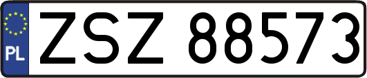 ZSZ88573