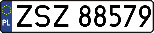 ZSZ88579