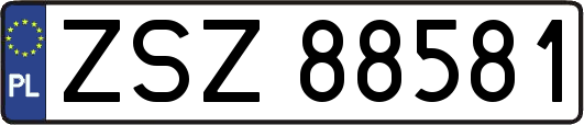 ZSZ88581