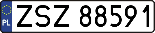 ZSZ88591