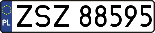 ZSZ88595