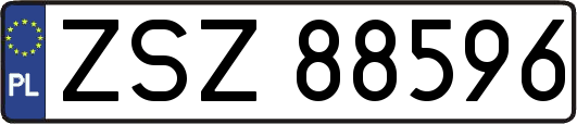 ZSZ88596