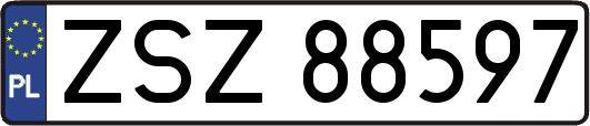 ZSZ88597