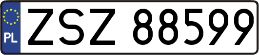 ZSZ88599