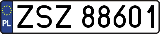 ZSZ88601