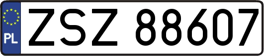 ZSZ88607