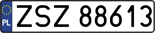 ZSZ88613