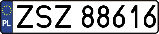 ZSZ88616