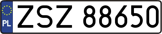 ZSZ88650