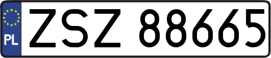 ZSZ88665