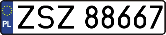 ZSZ88667