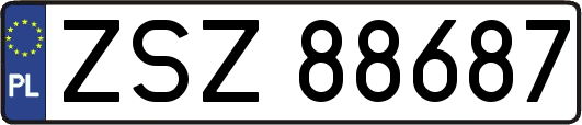 ZSZ88687