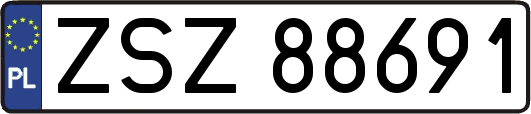 ZSZ88691