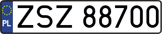 ZSZ88700