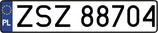 ZSZ88704