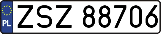 ZSZ88706