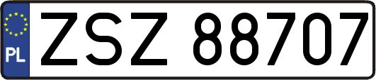 ZSZ88707