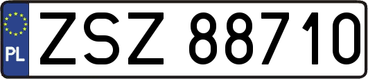 ZSZ88710