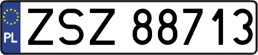 ZSZ88713
