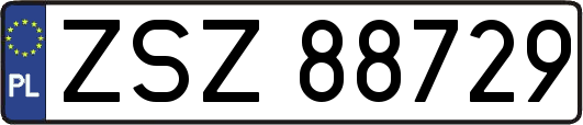 ZSZ88729