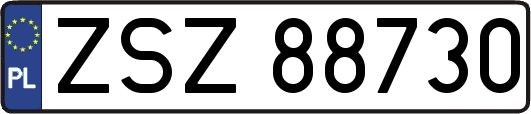 ZSZ88730