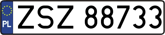 ZSZ88733