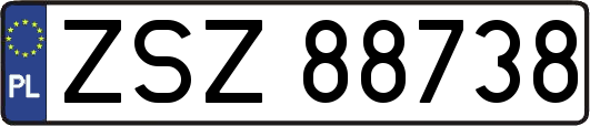 ZSZ88738