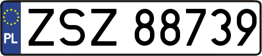 ZSZ88739