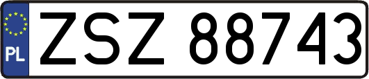 ZSZ88743