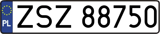 ZSZ88750