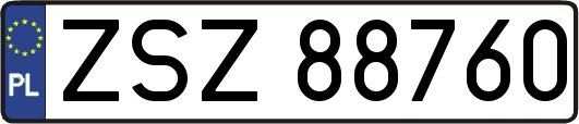 ZSZ88760