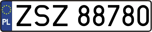 ZSZ88780