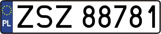 ZSZ88781