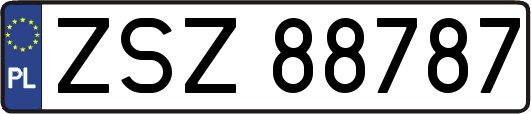 ZSZ88787