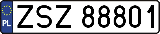 ZSZ88801