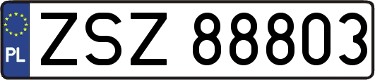ZSZ88803