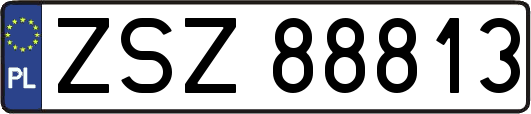 ZSZ88813