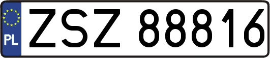 ZSZ88816