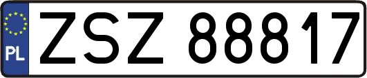 ZSZ88817