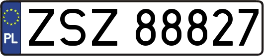 ZSZ88827