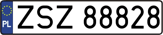 ZSZ88828