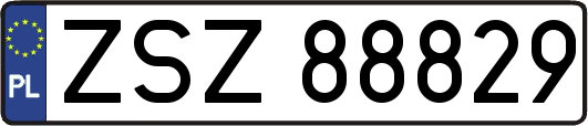 ZSZ88829