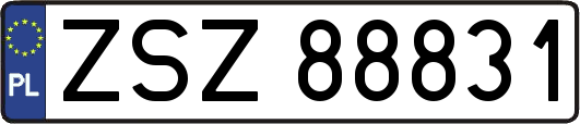 ZSZ88831