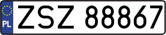 ZSZ88867