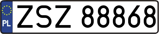 ZSZ88868