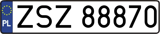 ZSZ88870