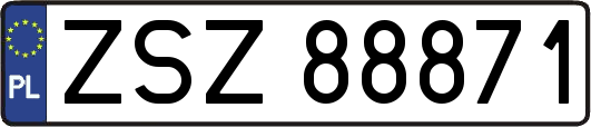ZSZ88871