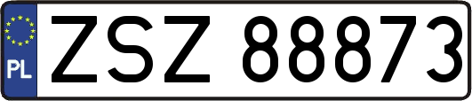 ZSZ88873