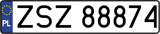 ZSZ88874