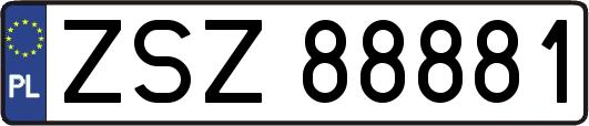 ZSZ88881
